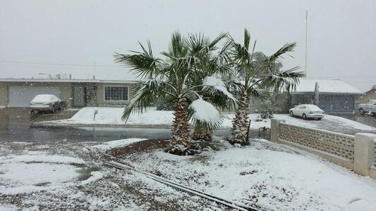 snowing 12-29-2014.jpg