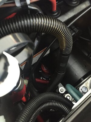 IMG_2664.JPG IMG_2664.JPG