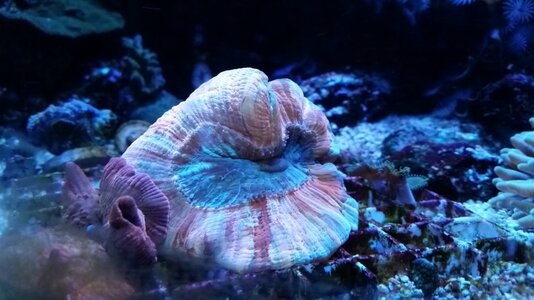 20150328_104430.jpg