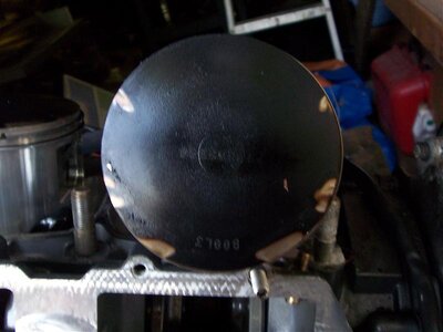100_0317.jpg