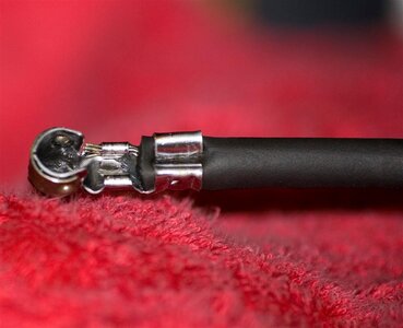 IMG_9594 (Medium).JPG