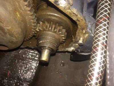 photo 1.JPG photo 1.JPG