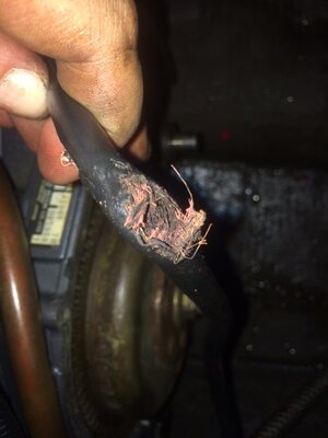 photo 2.JPG photo 2.JPG