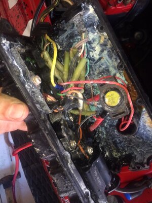 photo 3.JPG photo 3.JPG