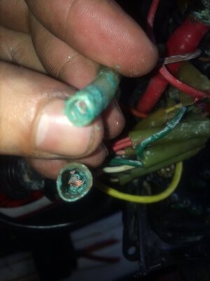 photo 4.JPG photo 4.JPG