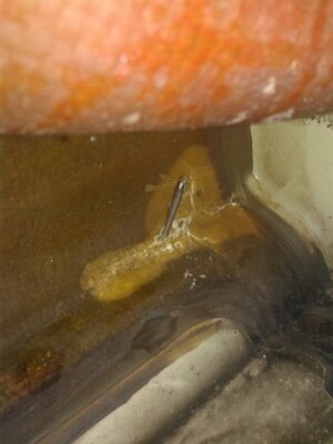 IMG_20150723_184111.jpg IMG_20150723_184111.jpg