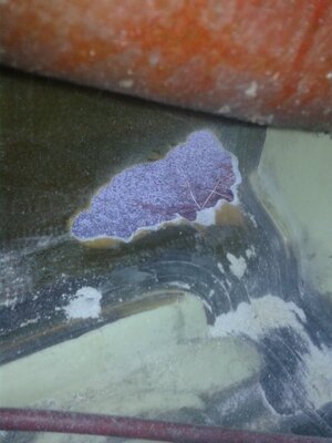 IMG_20150723_190200.jpg IMG_20150723_190200.jpg