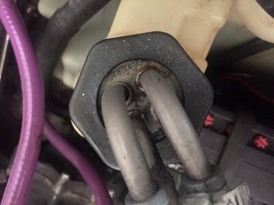 11792171_10207651727194989_7947827275330742256_o.jpg 11792171_10207651727194989_7947827275330742256_o.jpg