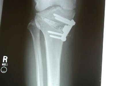 hardware upclose.jpg