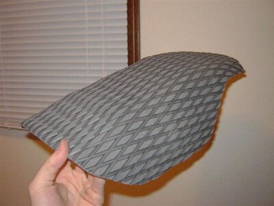 DSC00453 (Large).JPG