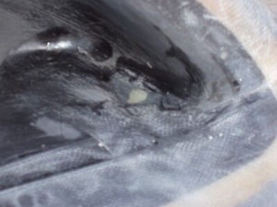 Tim's Jet ski 004.jpg