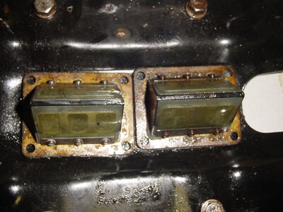 DSC01554.JPG