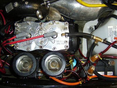 STA75354.jpg