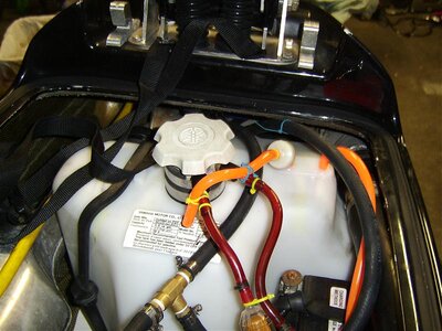 STA75357.jpg