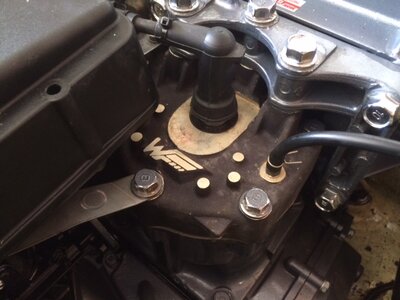 IMG_1181.JPG IMG_1181.JPG