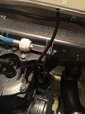 image1.JPG image1.JPG