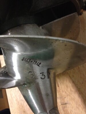 Skat Pic.JPG Skat Pic.JPG