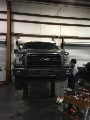 image.jpeg image.jpeg