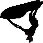 Mysiliouteblack.jpg