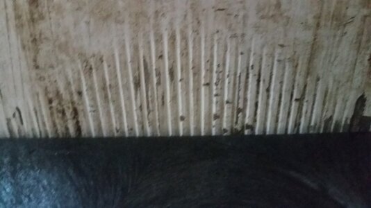 20151003_182936.jpg