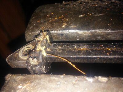 naked coil.jpg naked coil.jpg