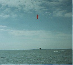 manateepark.jpg