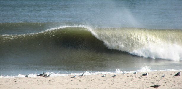 IMG_1213.jpg