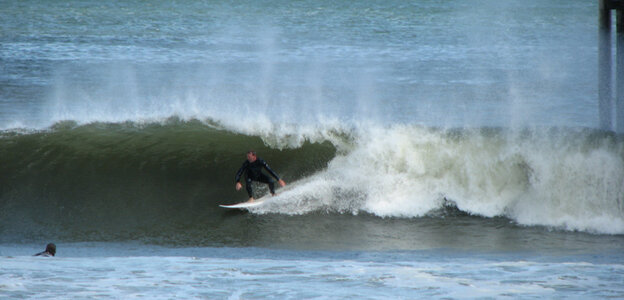 IMG_1229.jpg
