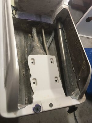 image.jpeg image.jpeg