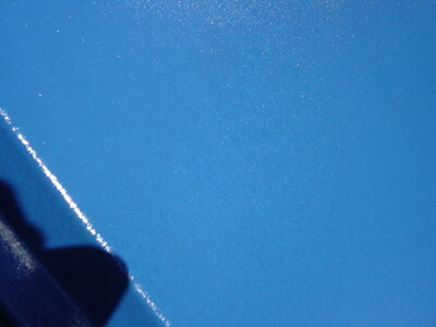 DSC01694.JPG