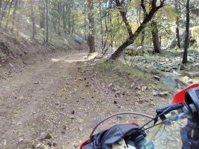IMG_20161012_142605[1].jpg