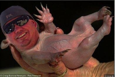 Alien Baby.jpg