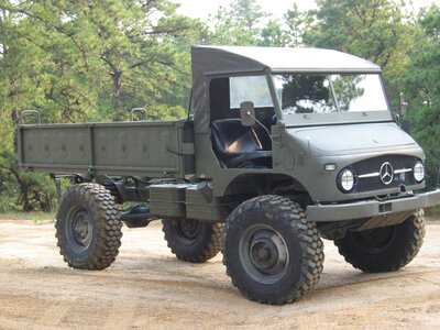 mog2029.jpg