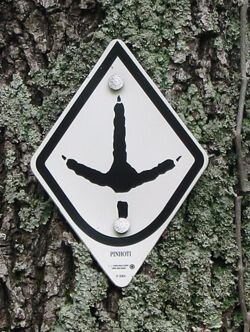 250px-Pinhoti_trail_marker.jpg