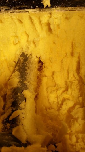 20170304_171911.jpg