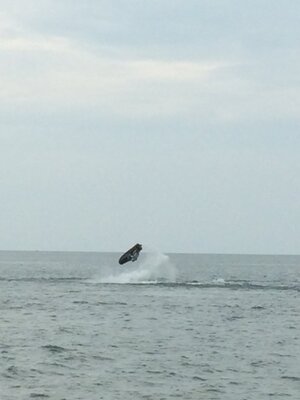 IMG_6679.JPG