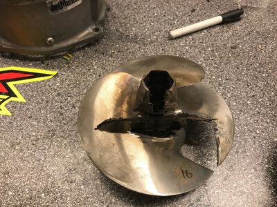 IMG_9559.jpg IMG_9559.jpg