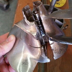 IMG_20170821_095911.jpg IMG_20170821_095911.jpg