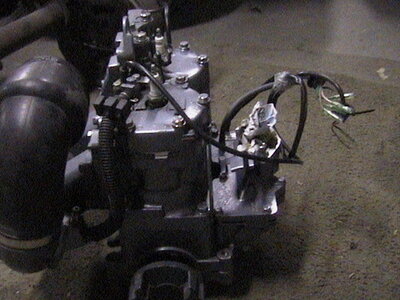 AUT_3169.JPG