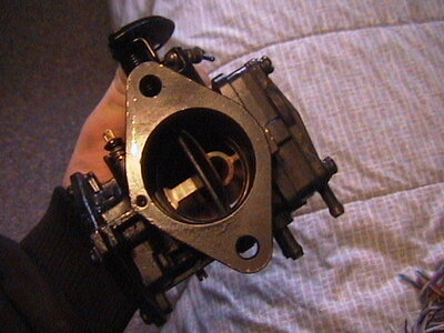 AUT_3178.JPG