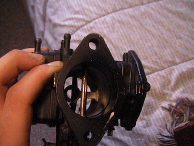 AUT_3181.JPG