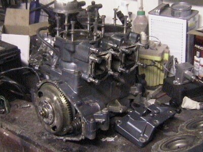 AUT_3240.JPG