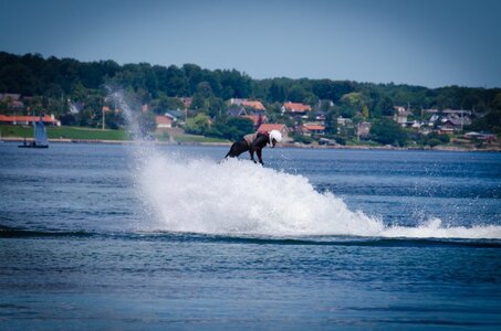 30.06.18 (48 of 118).jpg 30.06.18 (48 of 118).jpg