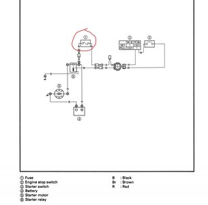 Switch Fuse.JPG Switch Fuse.JPG