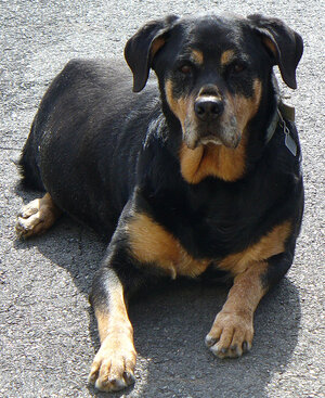 Baily 04-2.jpg