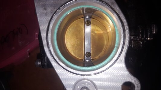 20181108_172928.jpg