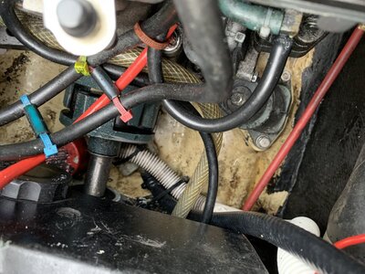 B71694CC-03C7-4683-936C-BAA3D295E038.jpeg