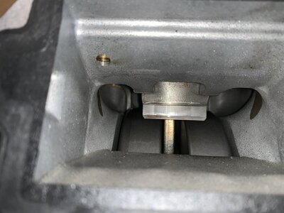 FF4B860F-FA0B-4AF1-BB08-6274608E8580.jpeg FF4B860F-FA0B-4AF1-BB08-6274608E8580.jpeg