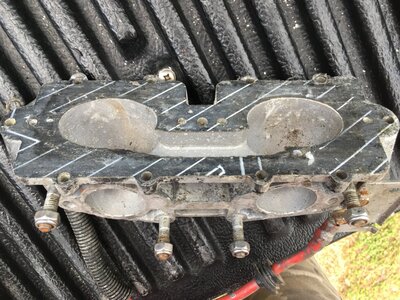 IMG_4455.JPG IMG_4455.JPG