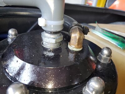 20190819_111758.jpg 20190819_111758.jpg